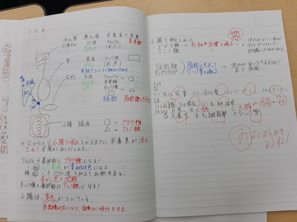 Ena小中 都心地区 るんるんの春 87 理科の勉強法
