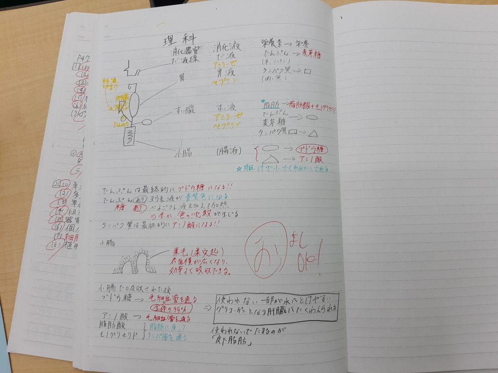 Ena小中 都心地区 るんるんの春 87 理科の勉強法