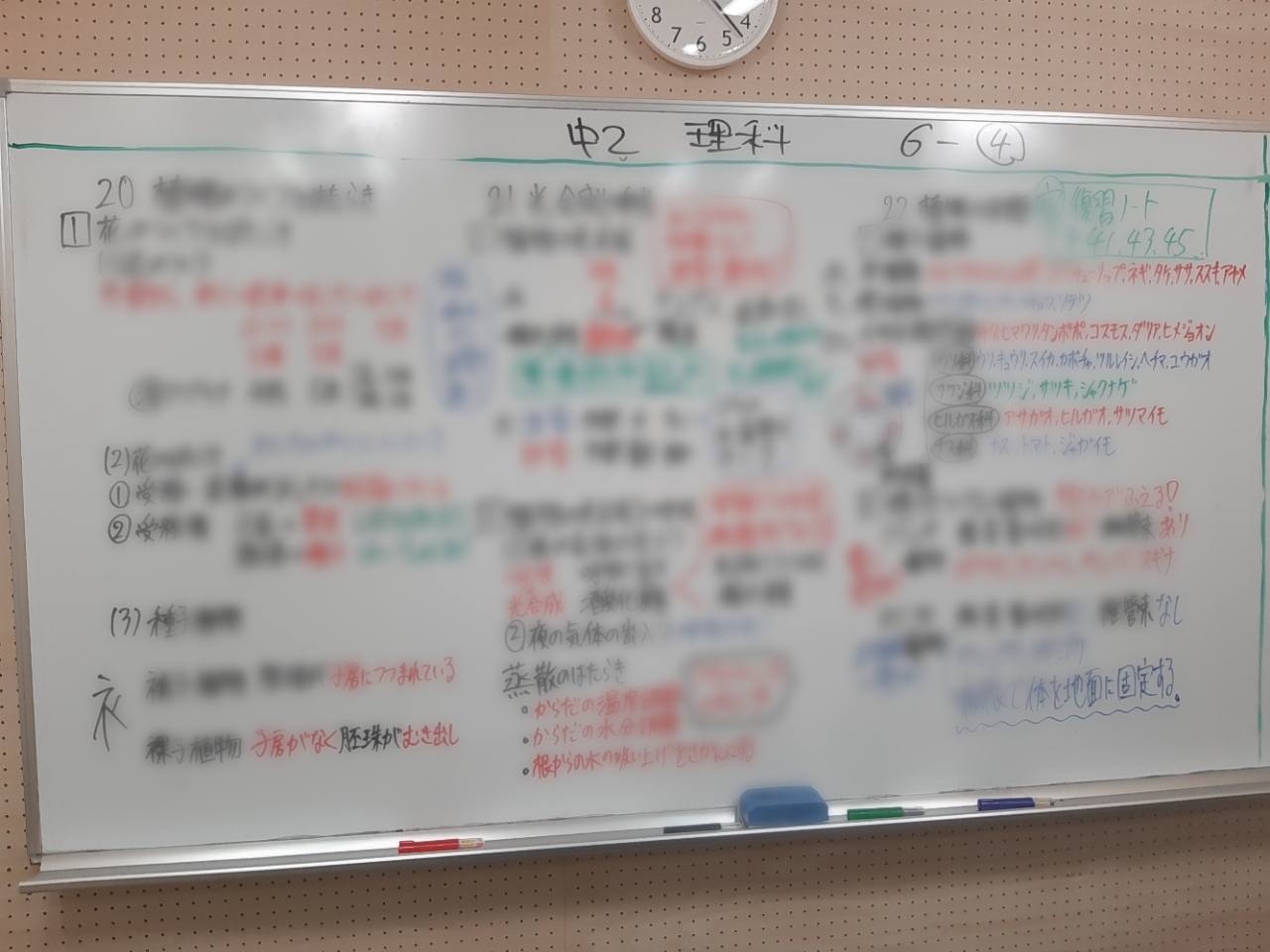 るんるんの春 植物クイズ 首都圏の塾 進学塾は Ena