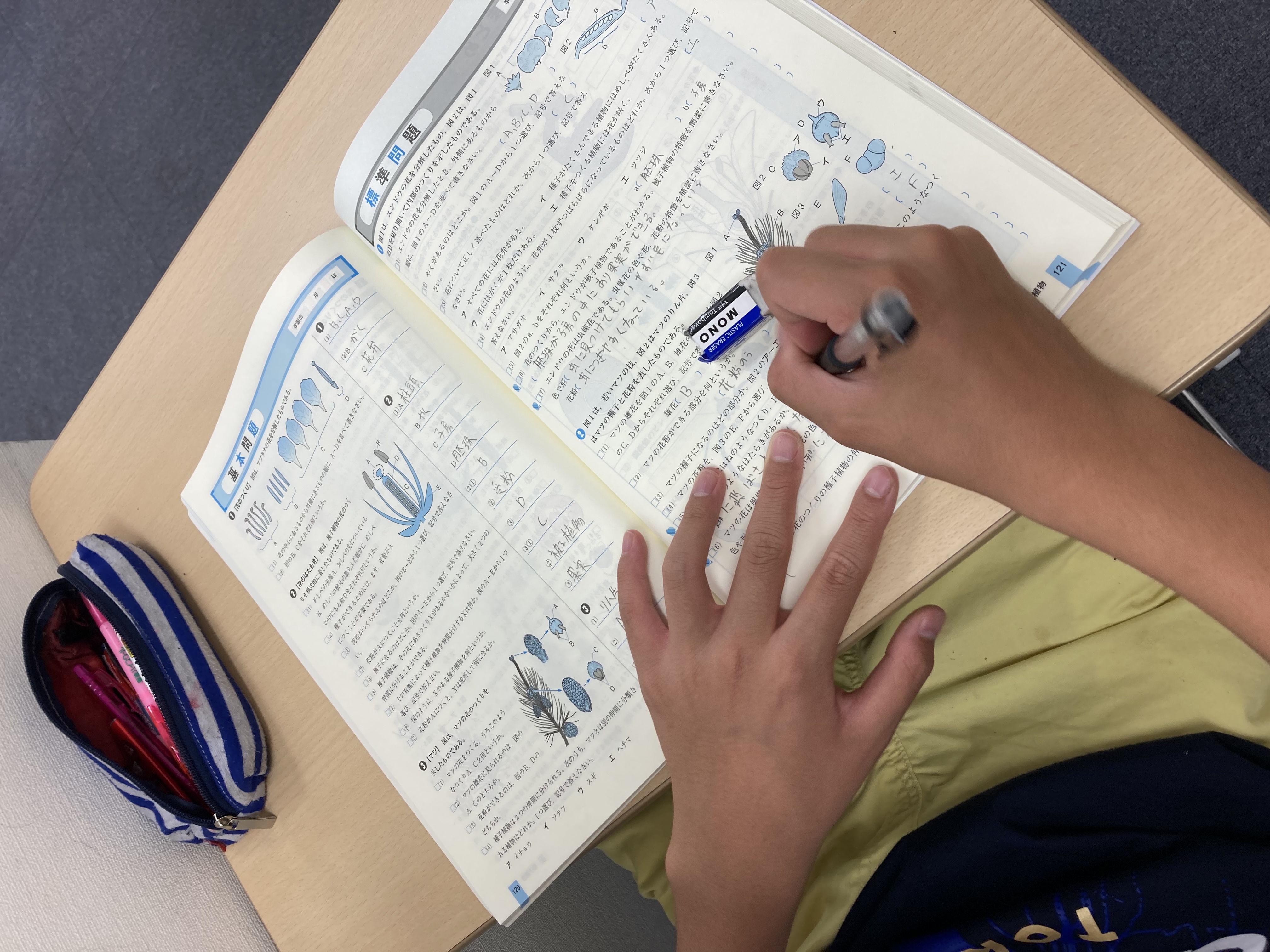 Ena小中 都心地区 池上日報 229 The Grass Is