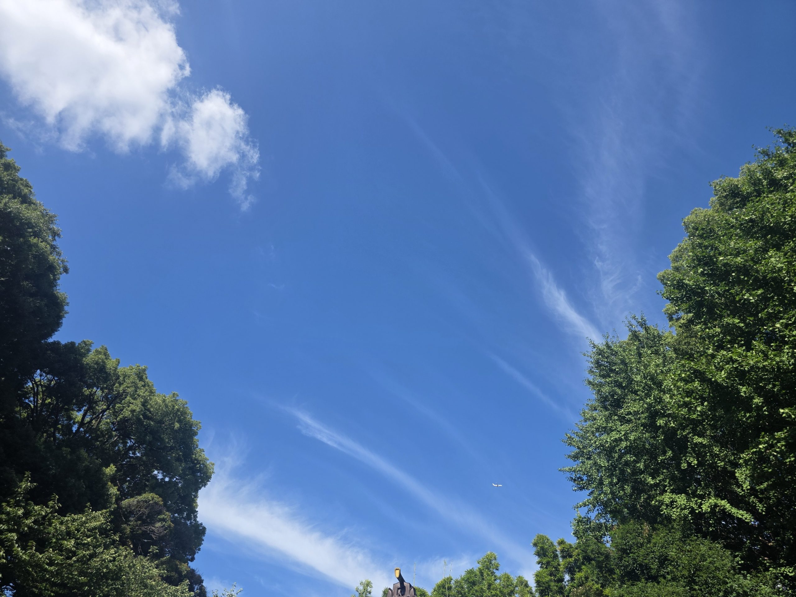 7月24日(木)【夏期講習 その2】