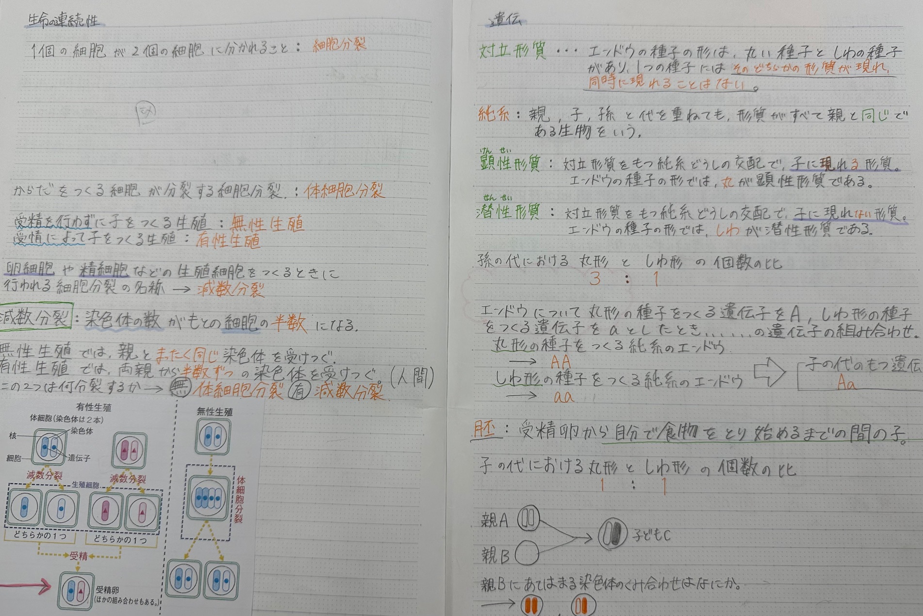 学習塾ena パースペクティブ 中学3年 高校受験テキストセット60冊セット 学習塾ena パースペクティブ 中学3年 高校受験テキストセット60