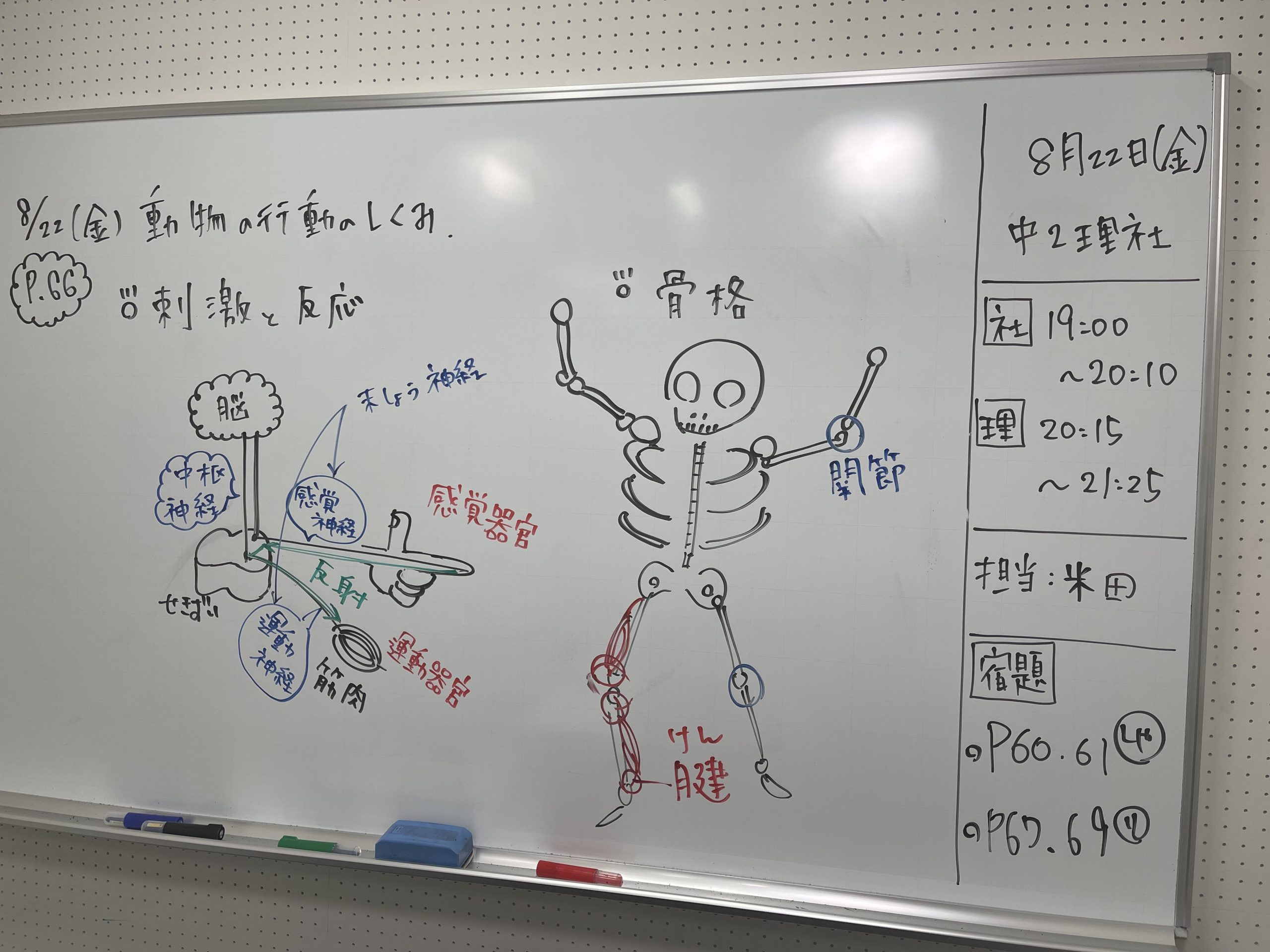 【夏期中1・2理社ライブ映像授業】enaオンラインclass通信#1675