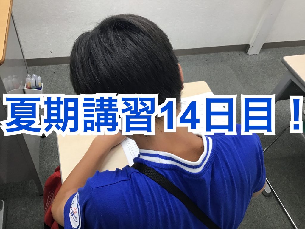 0805夏期講習14日目
