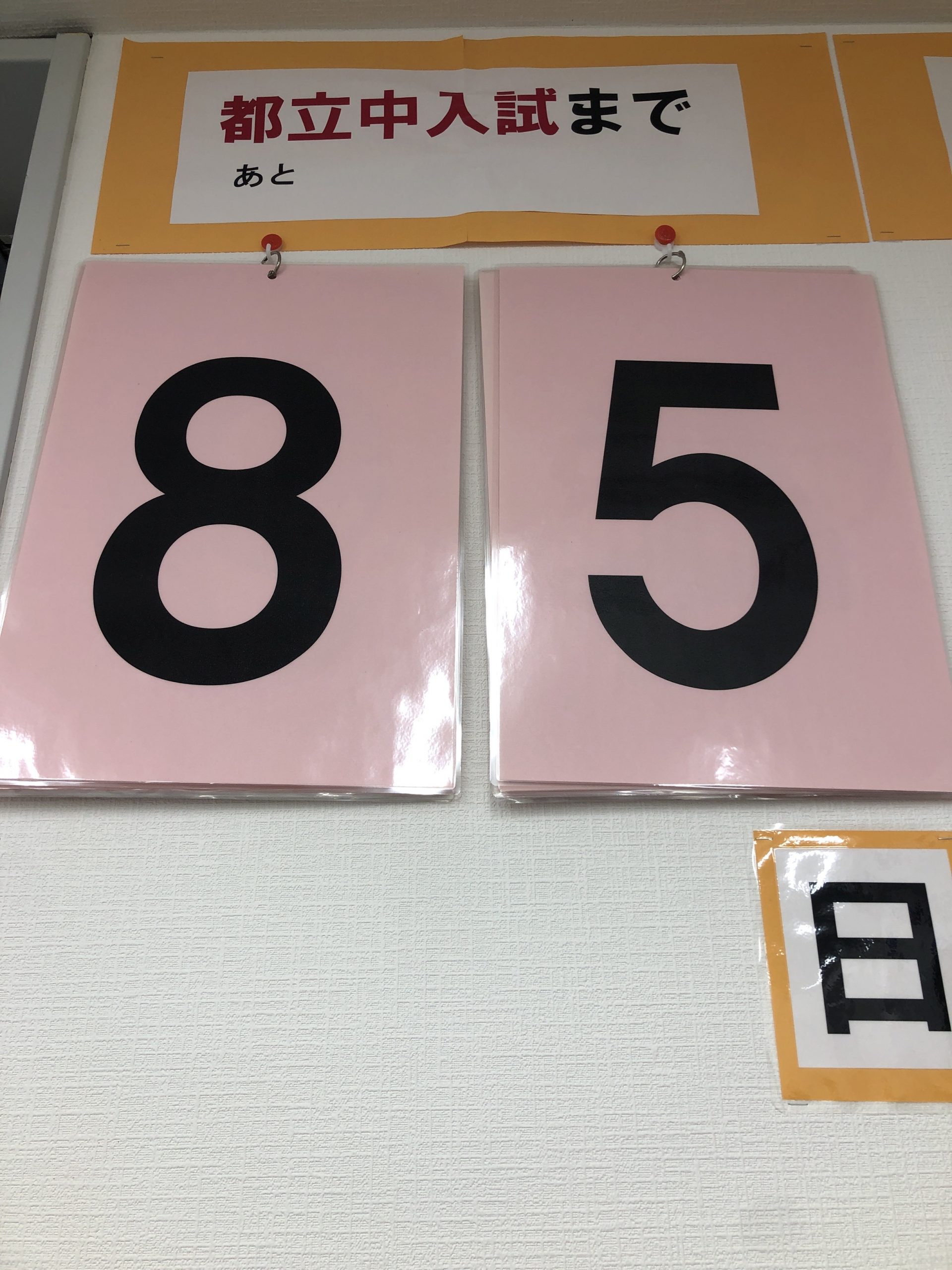 #AsakusaBashi-Catch#【221】掲示といったら・・・