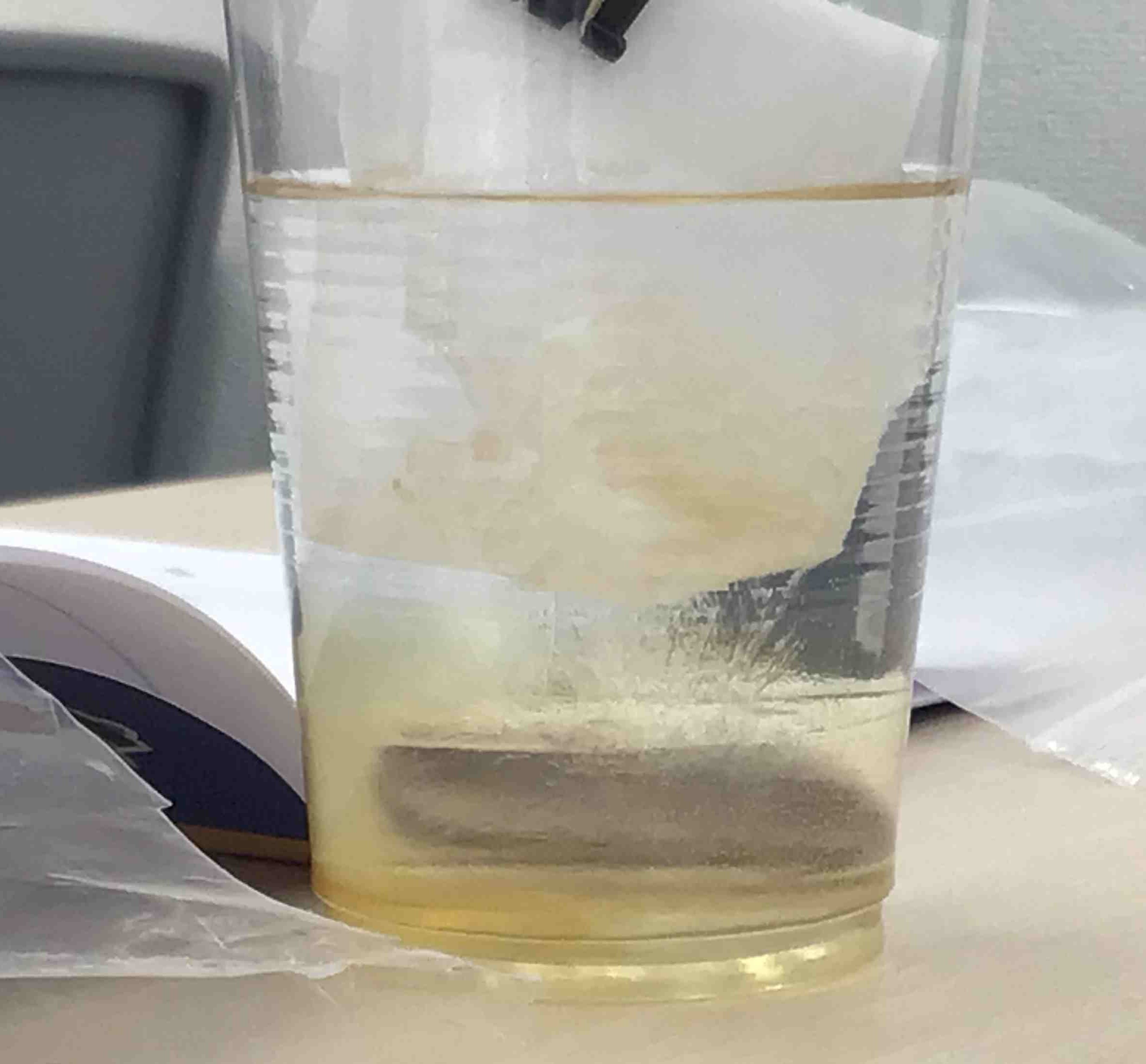 ena平和台本科1202