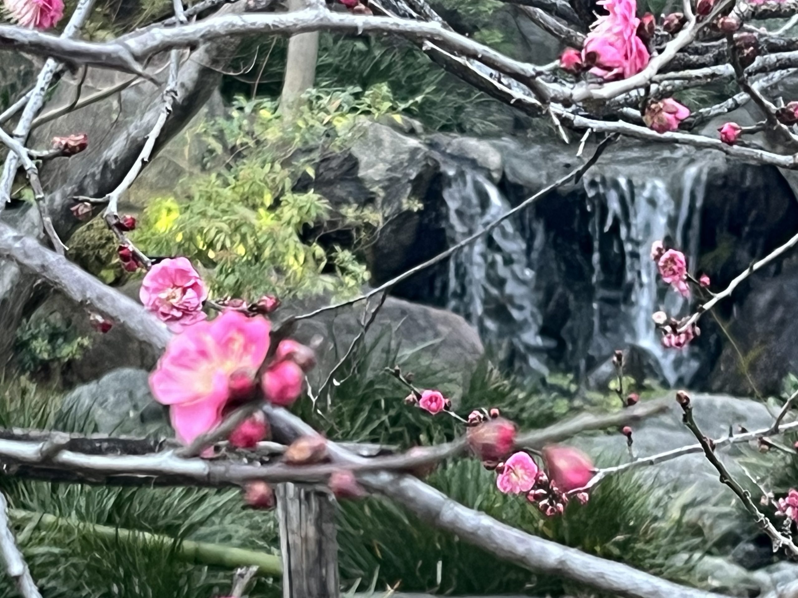合格祈願②@錦糸町