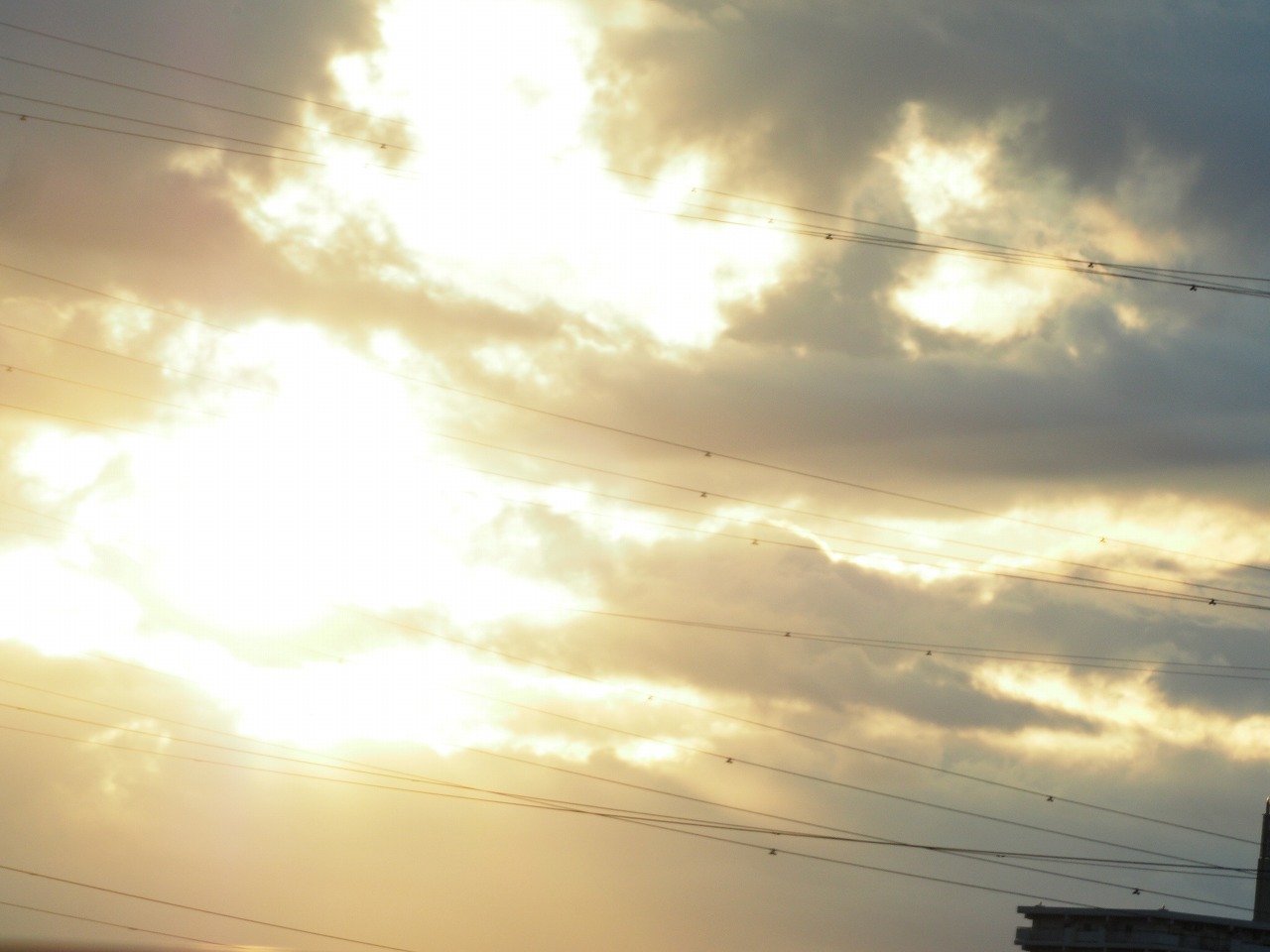 中村橋より愛をこめて　恭頌新禧【2026/01/04】