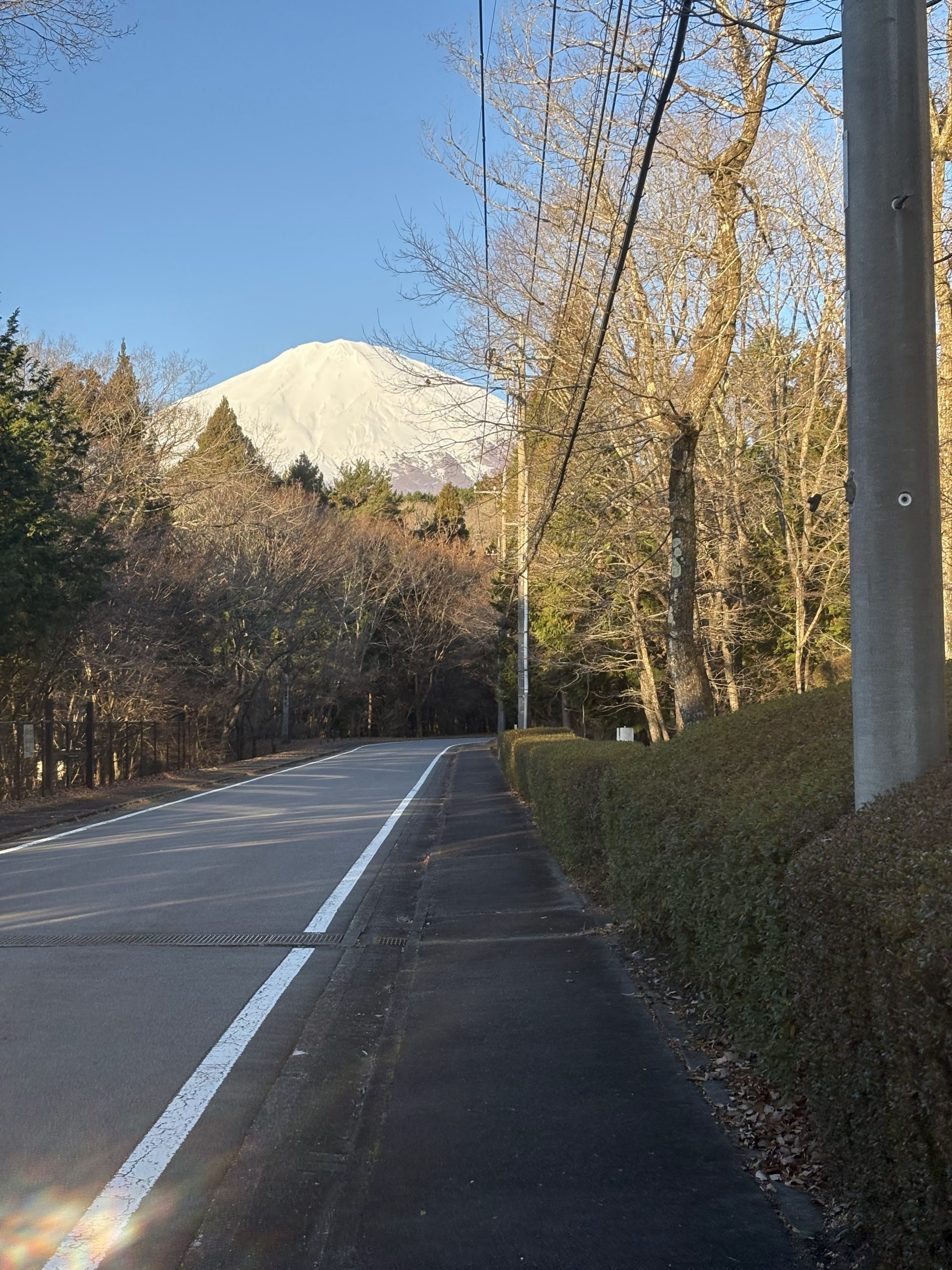 保谷通信853 中学入試という通過点