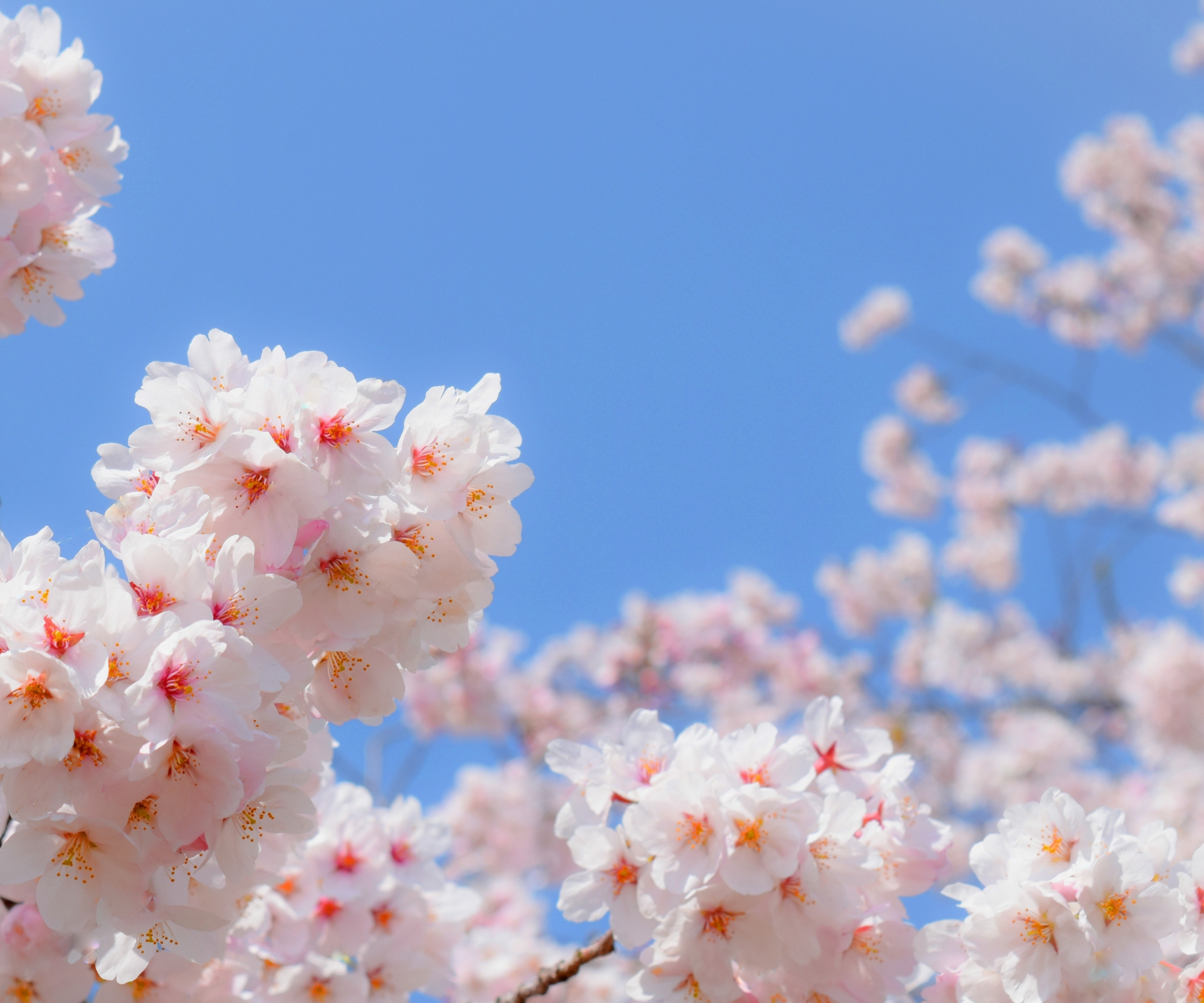 2026年3月2日（月）入試結果総括