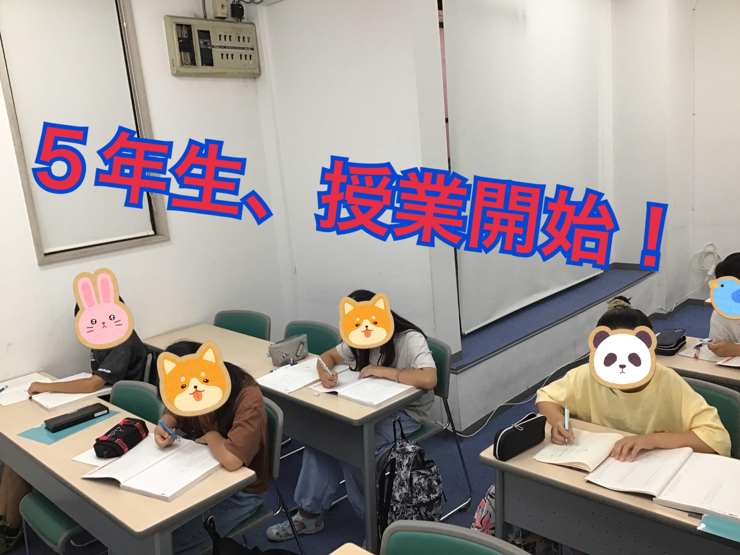 2期開始!【夏期⑤】
