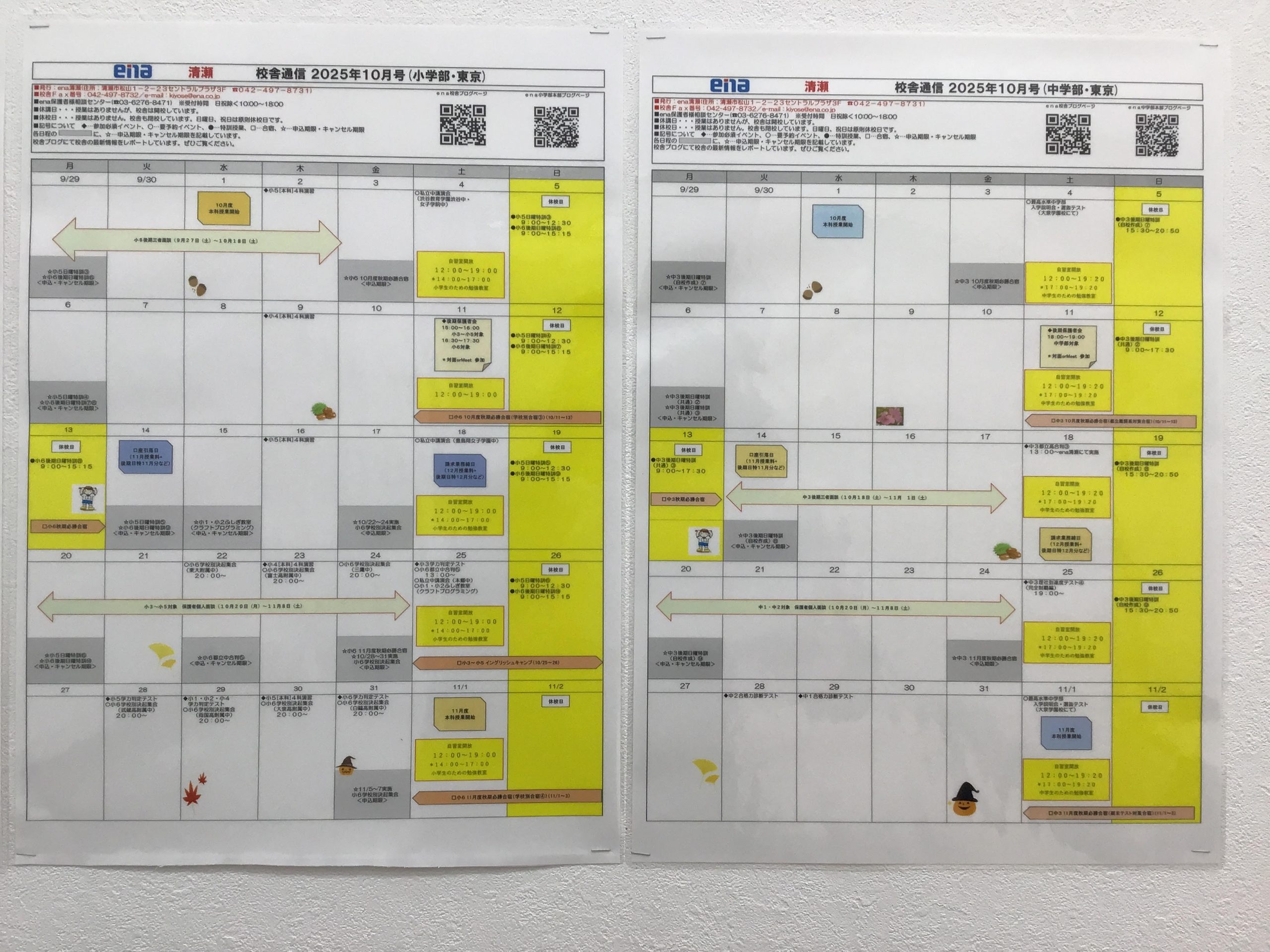 １０月がスタートしました！