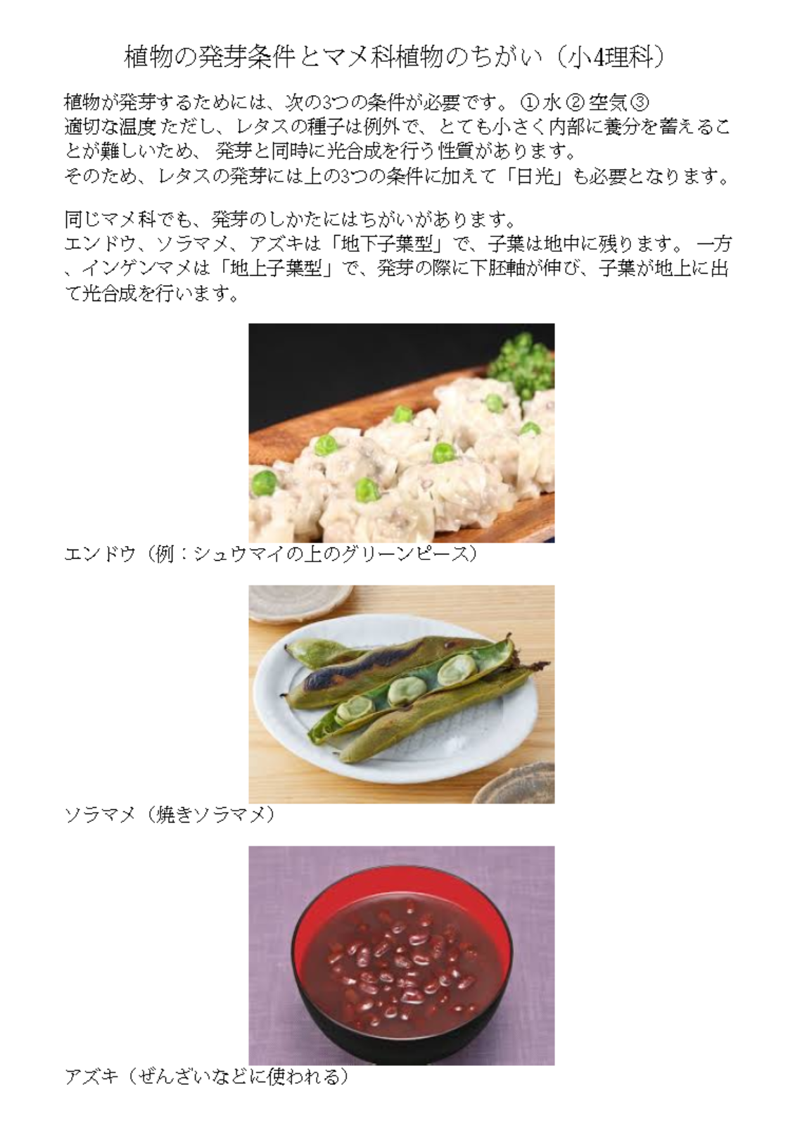 新テキスト「EXE（エグゼ）」で育てる思考力と表現力