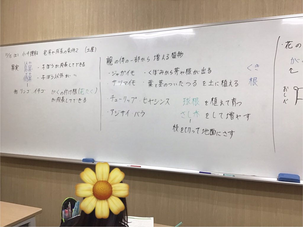 野菜や果物、食べているのはどの部分？