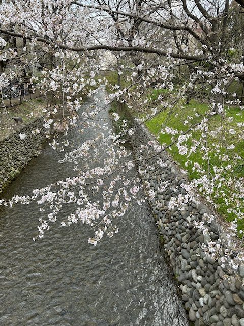 ◆◆ena玉川上水　2026年度開始！◆◆