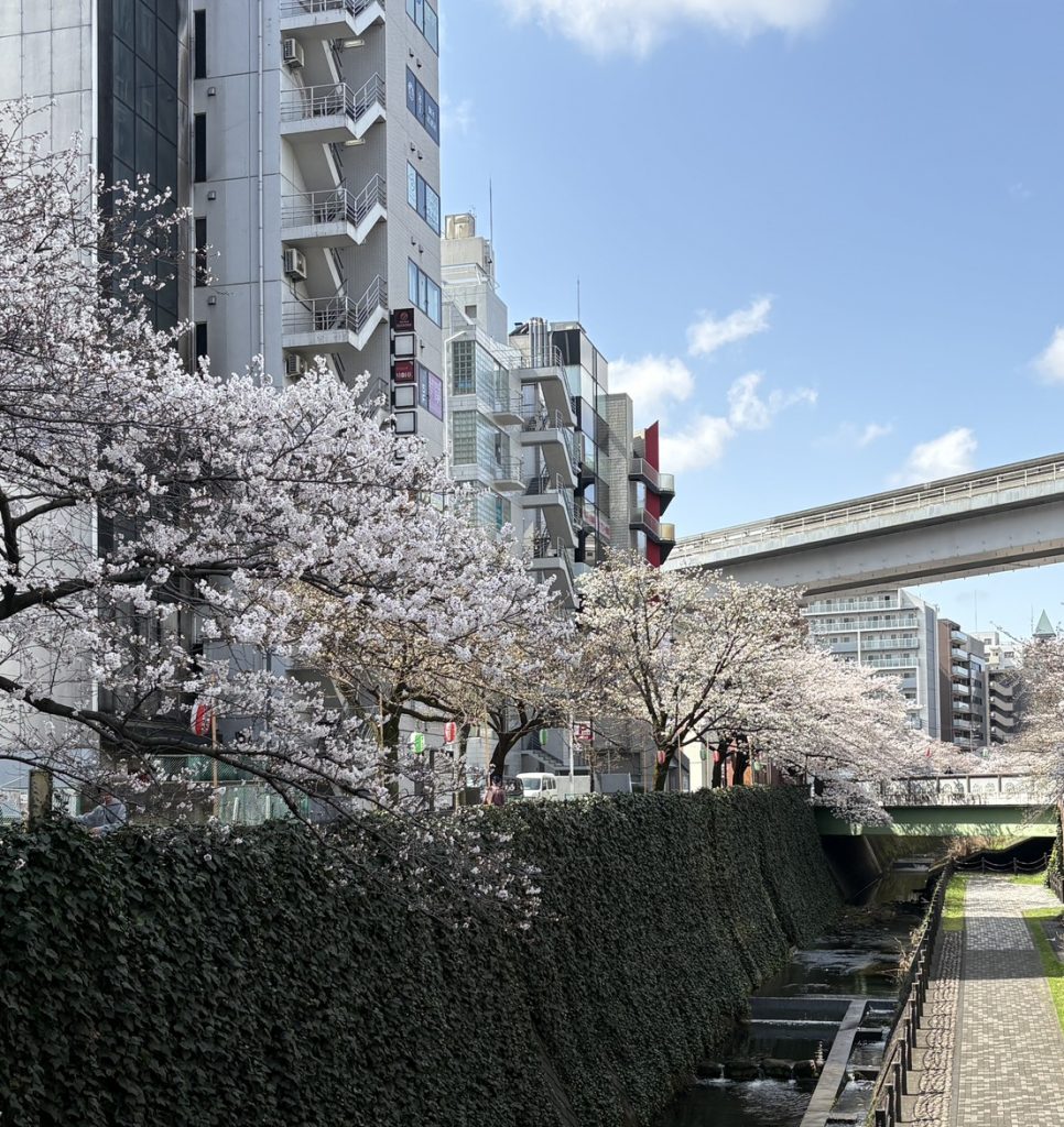 ３月26日　春期講習２日目