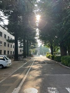 夏の応援メッセージ